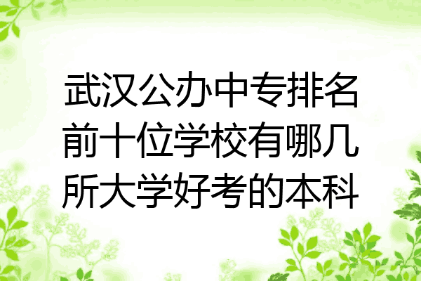 武汉公办中专排名前十位学校有哪几所大学好考的本科