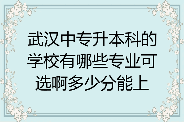 武汉中专升本科的学校有哪些专业可选啊多少分能上