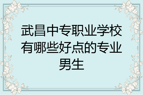 武昌中专职业学校有哪些好点的专业男生