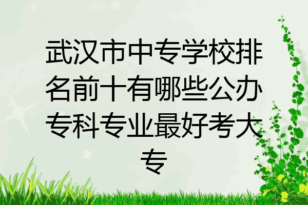 武汉市中专学校排名前十有哪些公办专科专业最好考大专