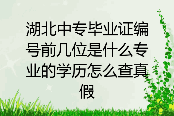 湖北中专毕业证编号前几位是什么专业的学历怎么查真假