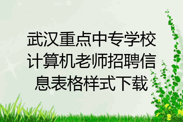 武汉重点中专学校计算机老师招聘信息表格样式下载