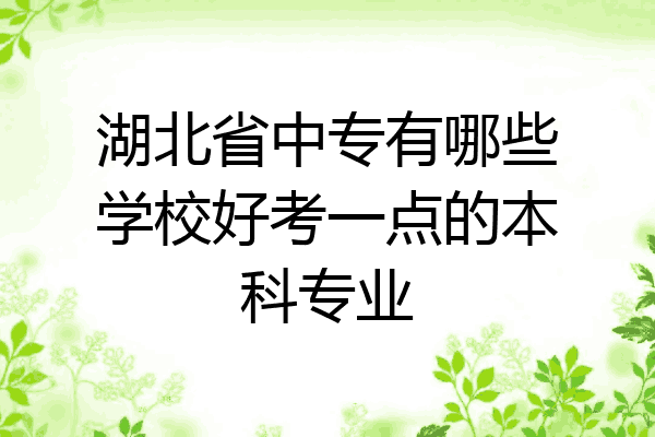 湖北省中专有哪些学校好考一点的本科专业
