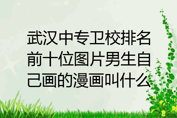 武汉中专卫校排名前十位图片男生自己画的漫画叫什么