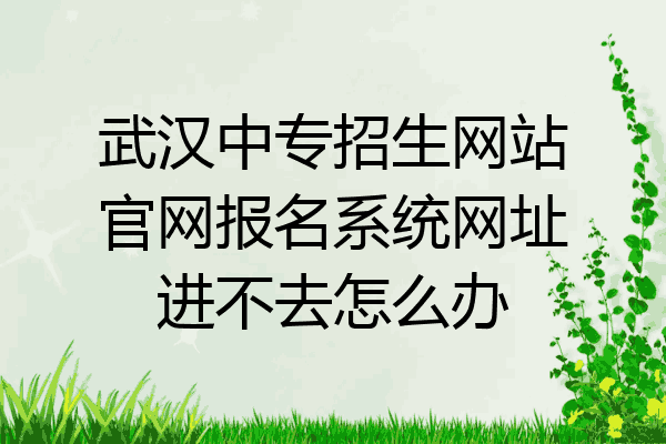 武汉中专招生网站官网报名系统网址进不去怎么办