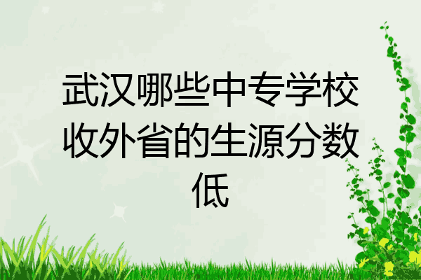 武汉哪些中专学校收外省的生源分数低