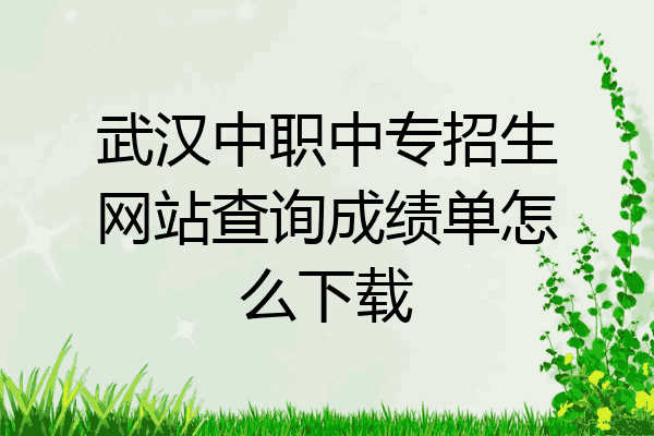武汉中职中专招生网站查询成绩单怎么下载
