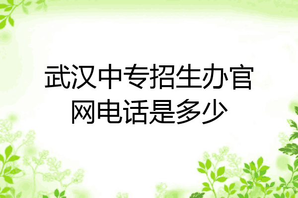 武汉中专招生办官网电话是多少