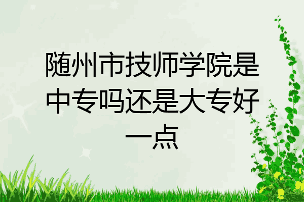 随州市技师学院是中专吗还是大专好一点