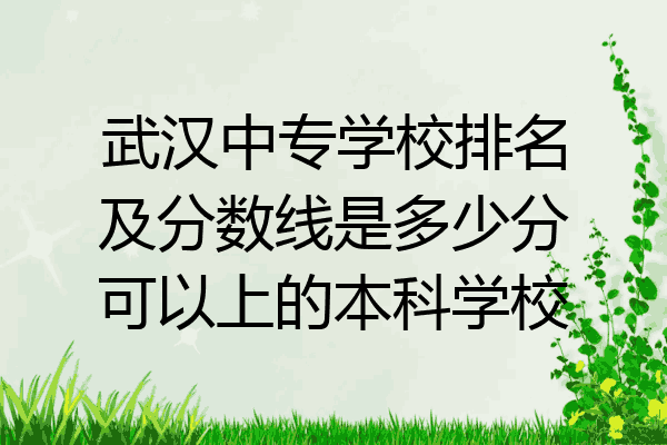 武汉中专学校排名及分数线是多少分可以上的本科学校