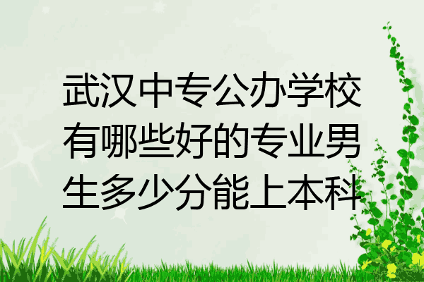 武汉中专公办学校有哪些好的专业男生多少分能上本科