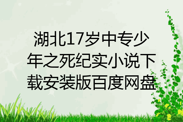 湖北17岁中专少年之死纪实小说下载安装版百度网盘
