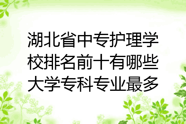 湖北省中专护理学校排名前十有哪些大学专科专业最多