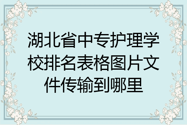 湖北省中专护理学校排名表格图片文件传输到哪里