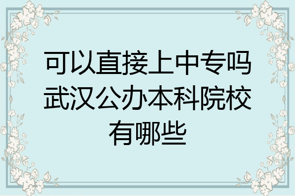 可以直接上中专吗武汉公办本科院校有哪些