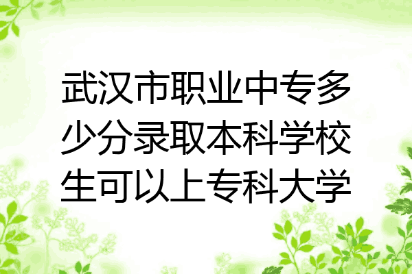 武汉市职业中专多少分录取本科学校生可以上专科大学