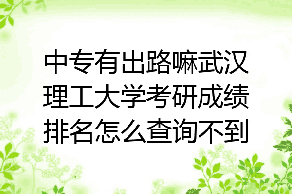 中专有出路嘛武汉理工大学考研成绩排名怎么查询不到