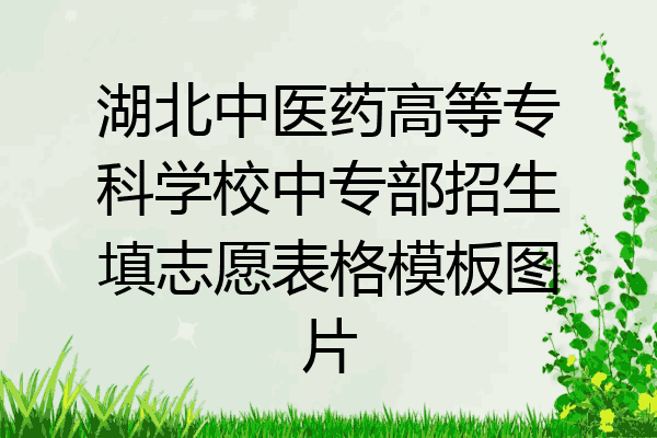 湖北中医药高等专科学校中专部招生填志愿表格模板图片