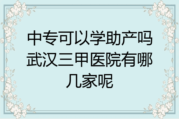中专可以学助产吗武汉三甲医院有哪几家呢