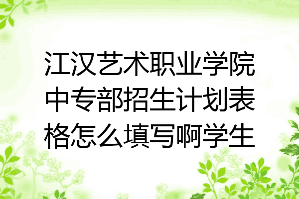 江汉艺术职业学院中专部招生计划表格怎么填写啊学生