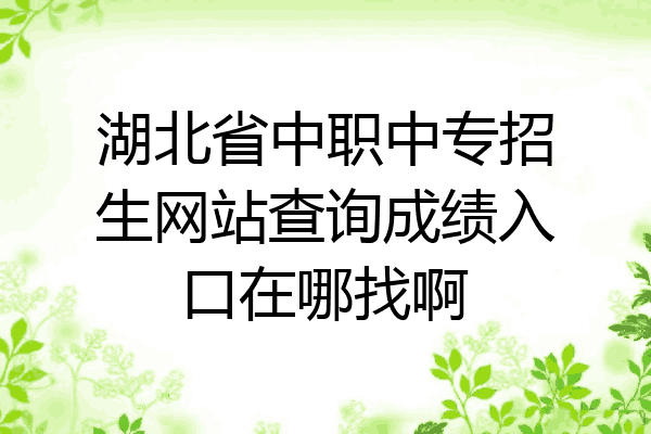 湖北省中职中专招生网站查询成绩入口在哪找啊
