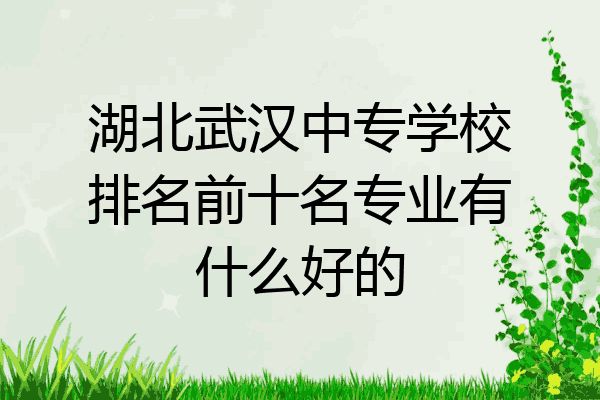湖北武汉中专学校排名前十名专业有什么好的