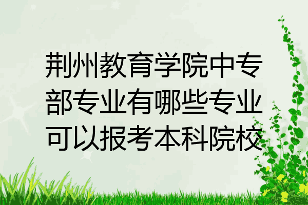 荆州教育学院中专部专业有哪些专业可以报考本科院校