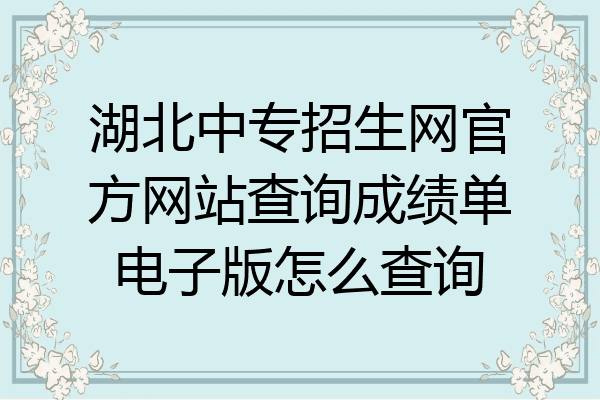 湖北中专招生网官方网站查询成绩单电子版怎么查询