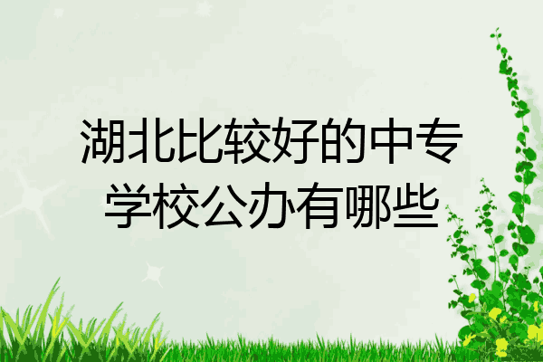 湖北比较好的中专学校公办有哪些