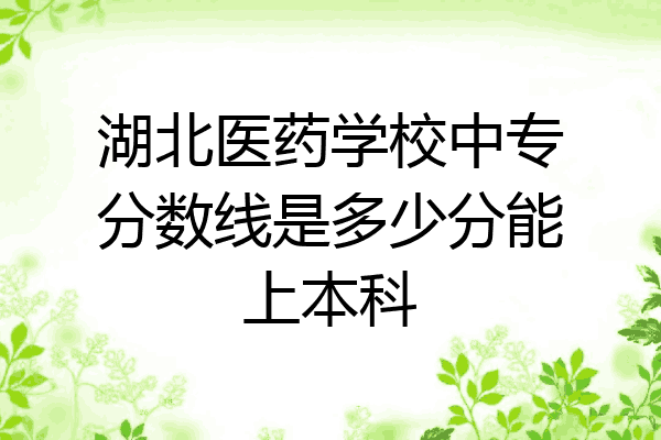 湖北医药学校中专分数线是多少分能上本科