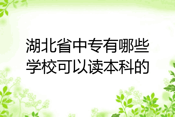 湖北省中专有哪些学校可以读本科的