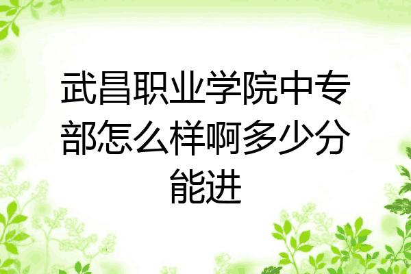 武昌职业学院中专部怎么样啊多少分能进