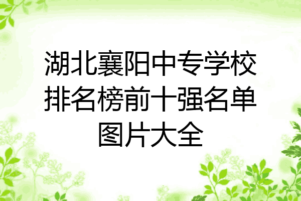 湖北襄阳中专学校排名榜前十强名单图片大全