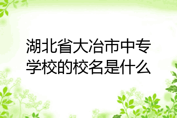 湖北省大冶市中专学校的校名是什么