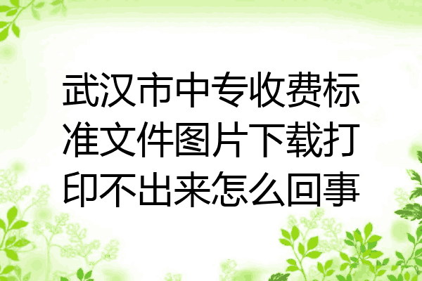 武汉市中专收费标准文件图片下载打印不出来怎么回事