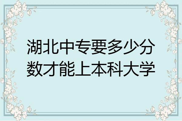 湖北中专要多少分数才能上本科大学