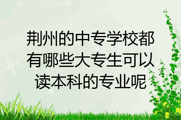 荆州的中专学校都有哪些大专生可以读本科的专业呢