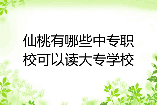 仙桃有哪些中专职校可以读大专学校