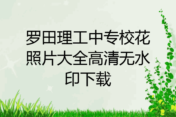 罗田理工中专校花照片大全高清无水印下载