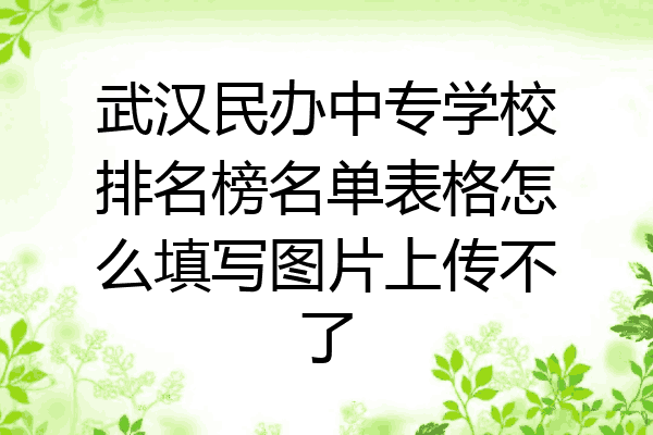 武汉民办中专学校排名榜名单表格怎么填写图片上传不了