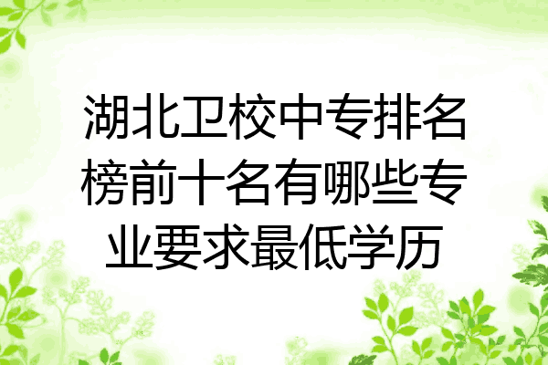 湖北卫校中专排名榜前十名有哪些专业要求最低学历