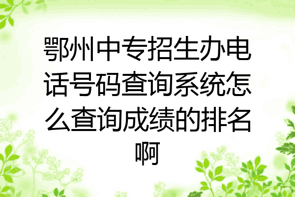 鄂州中专招生办电话号码查询系统怎么查询成绩的排名啊