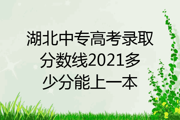 湖北中专高考录取分数线2021多少分能上一本