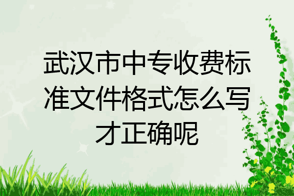 武汉市中专收费标准文件格式怎么写才正确呢