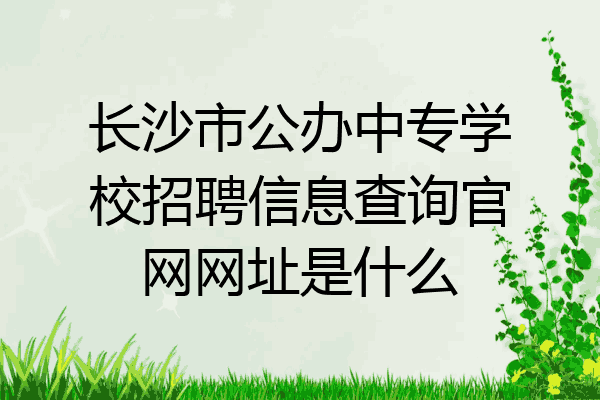 长沙市公办中专学校招聘信息查询官网网址是什么