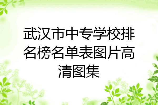 武汉市中专学校排名榜名单表图片高清图集