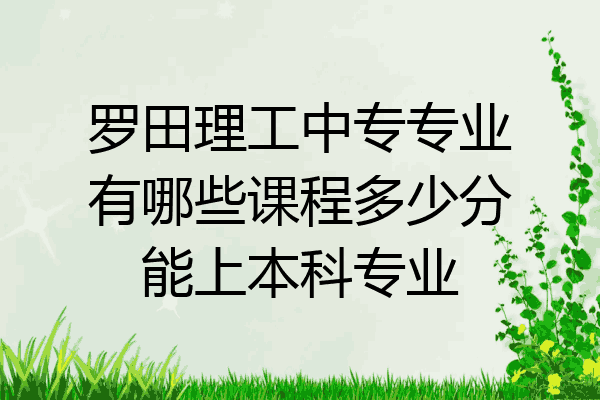 罗田理工中专专业有哪些课程多少分能上本科专业