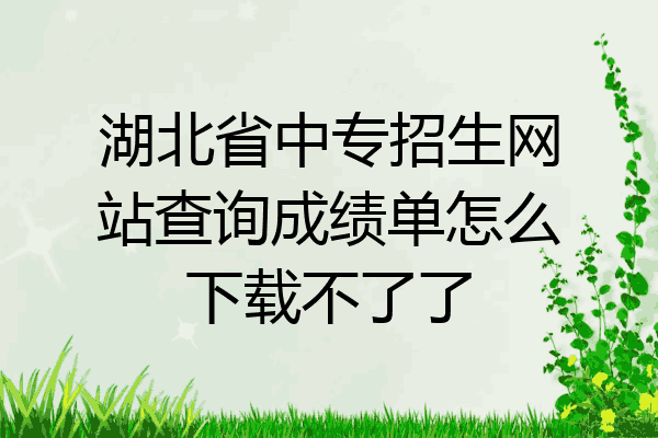 湖北省中专招生网站查询成绩单怎么下载不了了