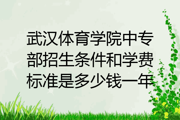 武汉体育学院中专部招生条件和学费标准是多少钱一年