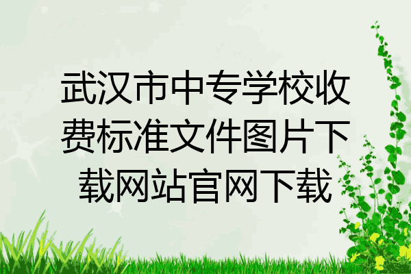 武汉市中专学校收费标准文件图片下载网站官网下载